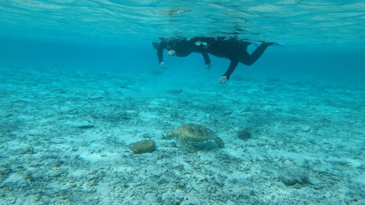 Guesthouse Iyonchi Zamami Εξωτερικό φωτογραφία